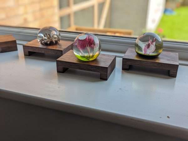 Low profile Windowsill stands, bathroom and countertop risers, plant display shelfs, crystal display – Solid Black Walnut – Set of 3