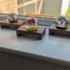 Low profile Windowsill stands, bathroom and countertop risers, plant display shelfs, crystal display – Solid Black Walnut – Set of 3