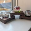 Low profile Windowsill stands, bathroom and countertop risers, plant display shelfs, crystal display – Solid Black Walnut – Set of 3