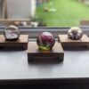Low profile Windowsill stands, bathroom soap tray, countertop risers, ornament display shelfs, crystal display - set of 3 - Solid Oak